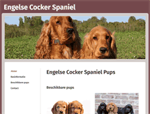 Tablet Screenshot of engelse-cocker-spaniel-pups.be